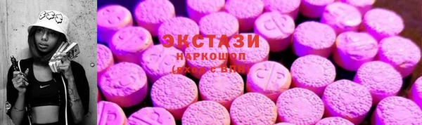 скорость Ельня
