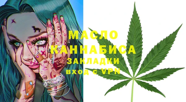 скорость Ельня