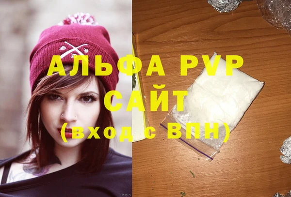 скорость Ельня