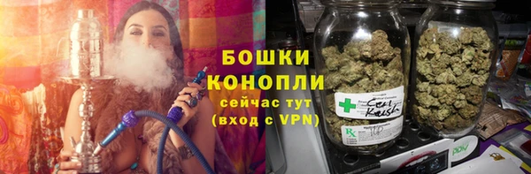 скорость Ельня