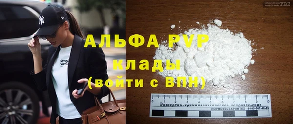скорость Ельня